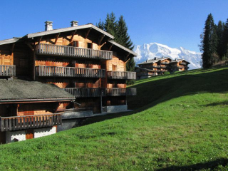 LE BETTEX / CHALETS DE PIERRE PLATE sur les pistes 